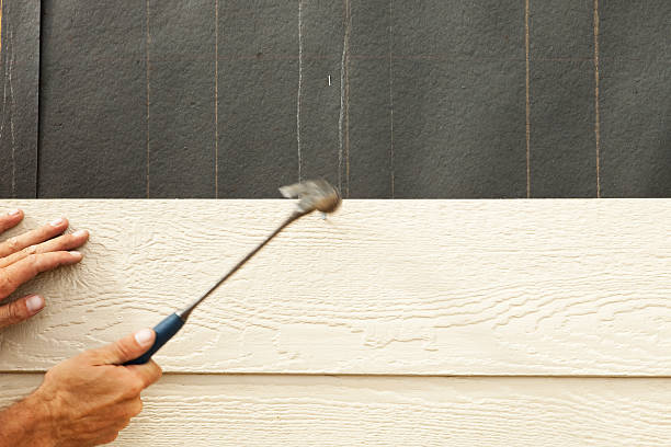Best Stone Veneer Siding  in Taos, NM